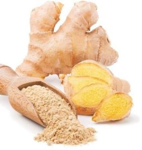 Ginger Powder, Color : Light Brown, Packaging Type : PP Bag