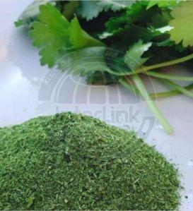 Fresh Coriander Powder