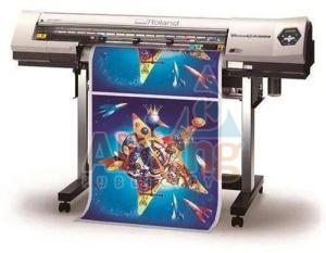Eco Solvent Vinyl Printing Services