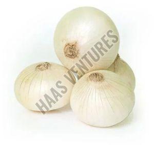 Natural A Grade White Onion, Packaging Type : Bag