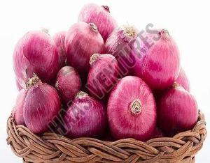 Natural Fresh Big Red Onion, Packaging Type : Bag