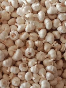 Garlic, Bag Packing, Organic