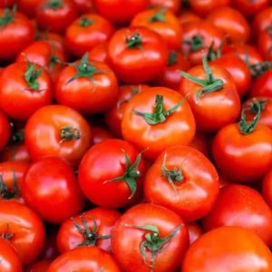 fresh red tomato