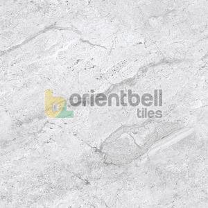 600X600mm PCG Endless Dyna Marble Grey Floor Tile