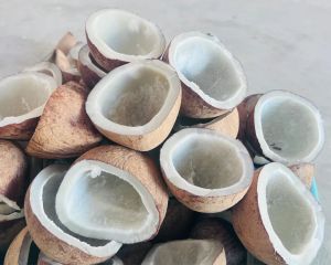 Dried Coconut Copra