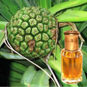 Premium Kewra Attar