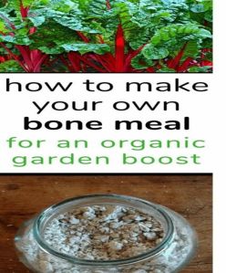 Bone Meal Powder