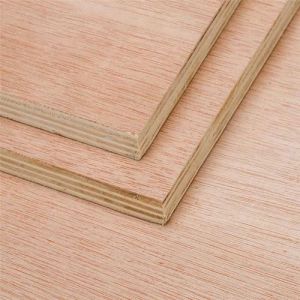 19mm Marine Grade Plywood