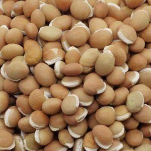 Common Broad Bean, Color : Dark Brown, Packaging Size : 25Kg, 50Kg