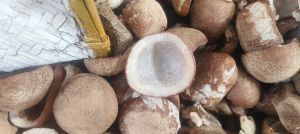 Dry Coconut Flakes