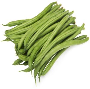 Organic Fresh French Beans, Color : Green for Cooking