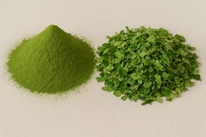 Natural Moringa Leaves Powder