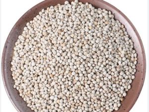 Cold Pressed Organic Perilla Seeds