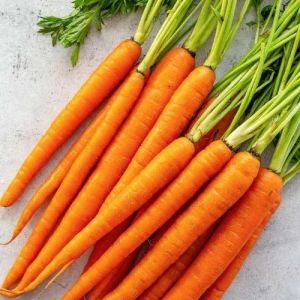Fresh Orange Carrot