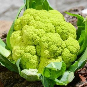 Green Organic Cauliflower, Packaging Size : 25-50kg