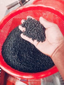 Black Pepper