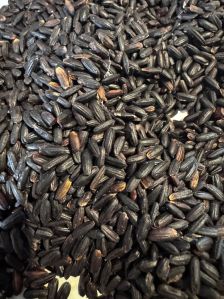 Organic Black Rice
