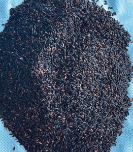 Organic Black Rice (Raw)
