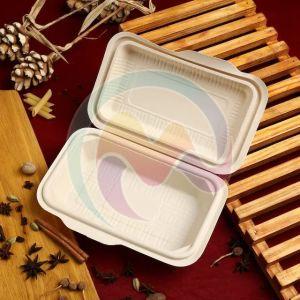 Bagasse Food Containers