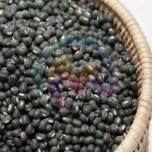 Black Urad Beans