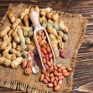 Groundnut Kernels