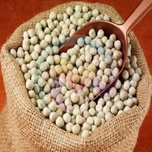 Vatana Beans