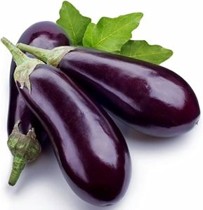 Organic Purple Brinjal for Cooking, Grilling, Roasting