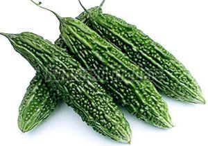 Organic Green Bitter Gourd for Cooking, Juicing