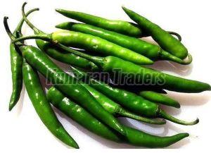 Organic Green Chilli for Cooking, Seasoning, Garnishing