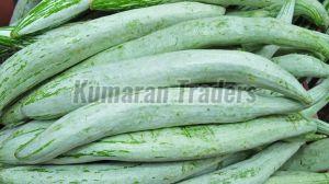Organic Green Snake Gourd, Packaging Type : Loose for Cooking