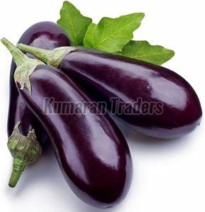 Organic Purple Brinjal