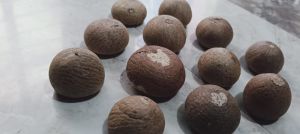 Brown Betel Nut Supari
