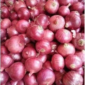 Fresh Big Onion, Color : Red, Packaging Type : Gunny Bag for Cooking