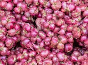 Fresh Small Red Onion, Packaging Type : Gunny Bag for Cooking