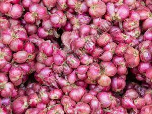 Fresh Small Red Onion, Packaging Type : Gunny Bag for Cooking