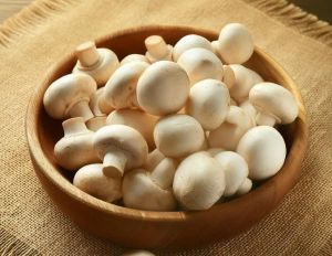Fresh White Button Mushroom
