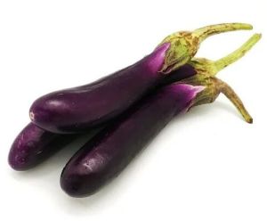 Fresh Long Brinjal, Color : Purple, Packaging Size : 5-25kg