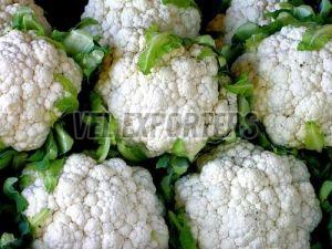 Fresh Cauliflower, Packaging Size : 5-25kg