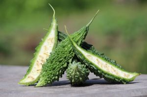 Fresh Green Bitter Gourd, Packaging Size : 5-25kg
