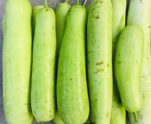 Fresh Light Green Bottle Gourd, Packaging Size : 5-25kg