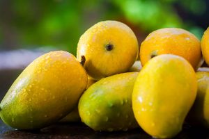 Fresh Alphonso Mango