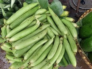 Natural Fresh Light Green Sponge Gourd, Packaging Size : 5-25kg