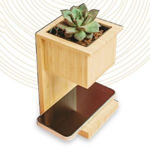 15W Bamboo Wireless Charger