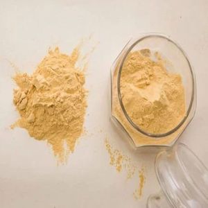 Pure Protein Hydrolysate Powder