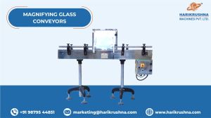 Inspection Conveyor with Magnifying Glass