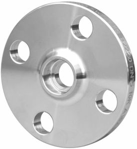 Stainless Steel 321 Flanges