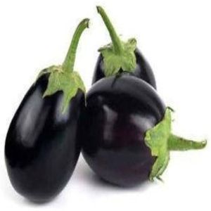 Organic Fresh Round Brinjal, Color : Purple for Cooking