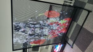 Indoor Transparent Mesh LED Screen Distributor