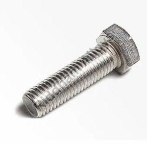 Hastelloy Screws