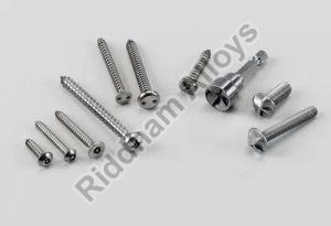 Monel Screws